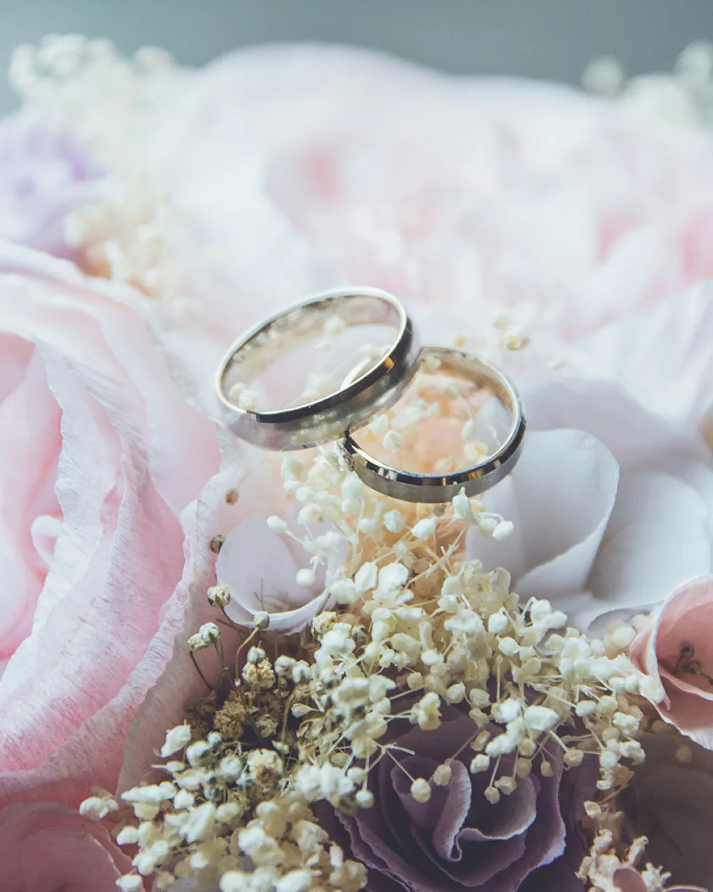Bodas